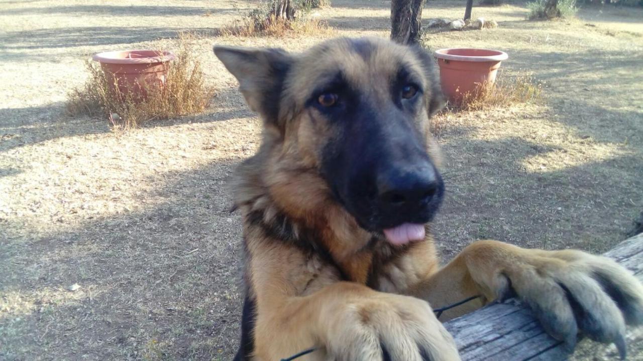 Villa Anna Fara in Sabina Dış mekan fotoğraf